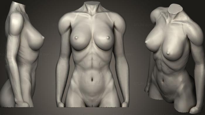 Anatomy of skeletons and skulls (Female Torso (2), ANTM_0525) 3D models for cnc